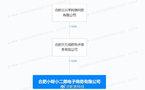 疯狂小杨哥新公司成立 布局互联网销售领域